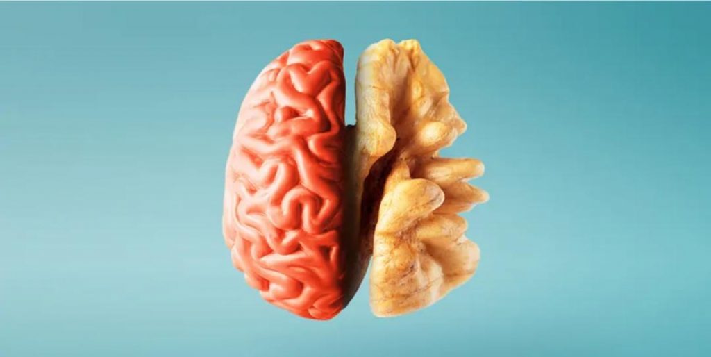 健脑食品——核桃 