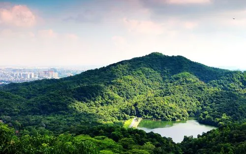 广州首个“城市生态氧吧”获授牌