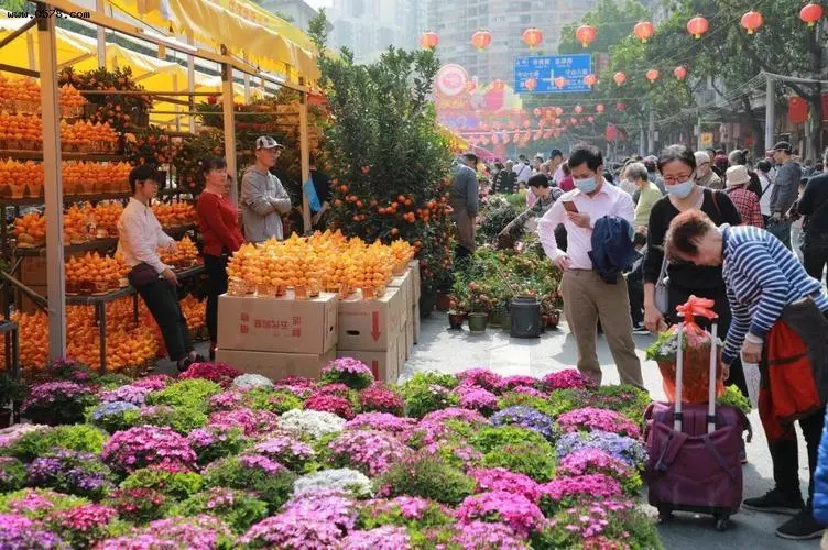 广州花都区多措并举创建“广东省全域旅游示范区”