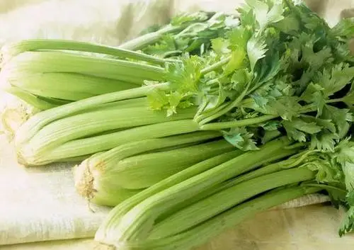 减肥期间，多吃这即种刮脂食物，让体重速度下跌！ 