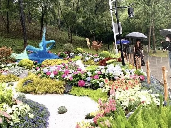 魅力无法挡！市民冒雨打卡广州园博会