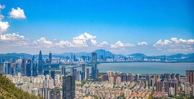 历史性跨越！深圳市商事主体突破400万户