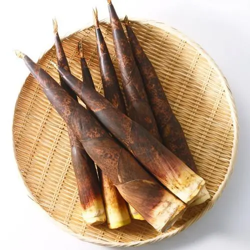 竹笋什么时候有？春笋什么节气长出来比较细嫩？