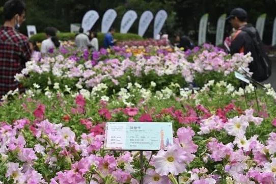 千余种新优植物在广州展出