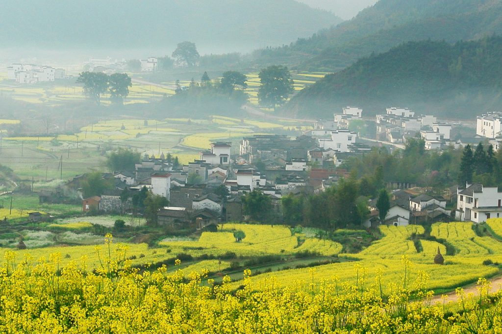 “江西風(fēng)景獨(dú)好”文旅活動(dòng) 走進(jìn)深圳