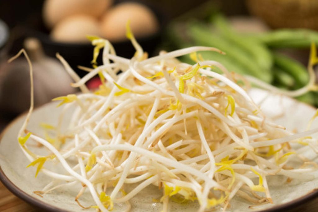 科学认识和正确食用豆芽
