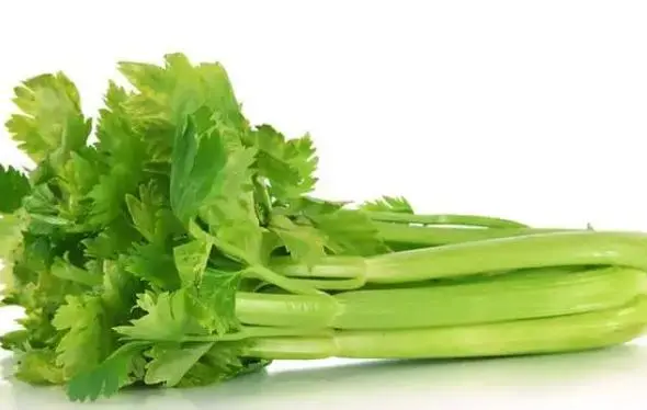 吃芹菜为什么不吃叶子？大多数人不清楚