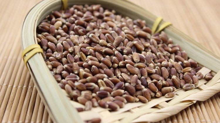究竟什么是黑麦面粉？