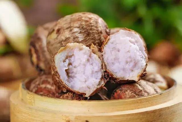 红薯、土豆靠边站，它才是真正的“地下宝物”