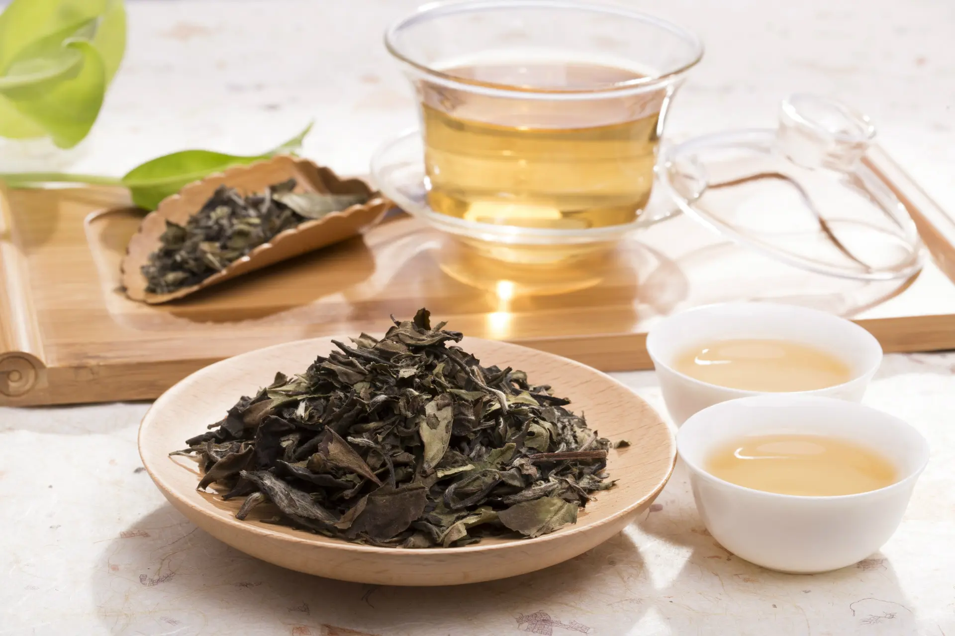 揭示白茶的功效有什么作用