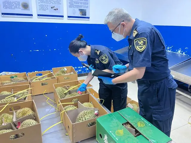 上半年广州海关关区企业进口消费品超540亿元