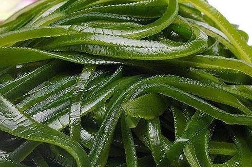 3种人应该“忌口”海带！别等出事再后悔