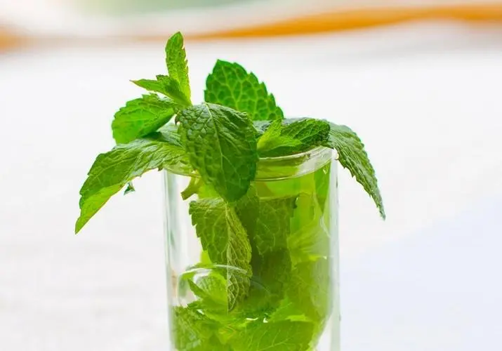 薄荷叶怎么吃 薄荷这样吃让您胃口更好
