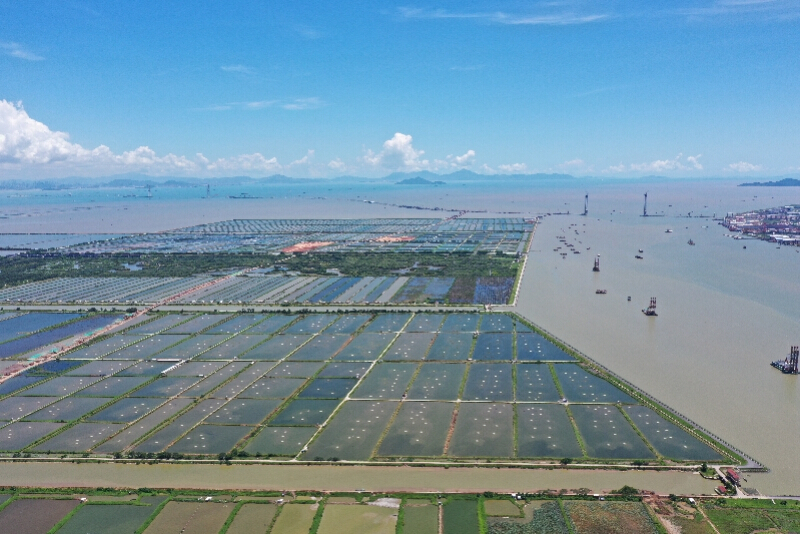 广州打造高质量发展“蓝色引擎”，税惠赋能“逐浪前行”