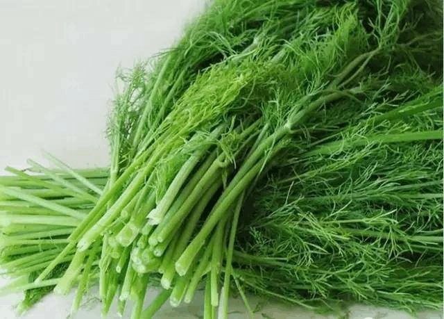 你能分出大小茴香的妙用吗