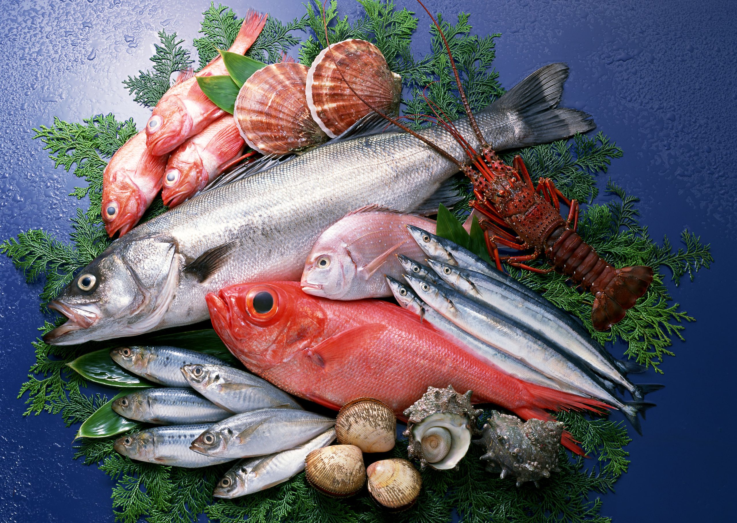 受伤时不能吃羊肉、海鲜、豆腐等“发物”？答案出人意料