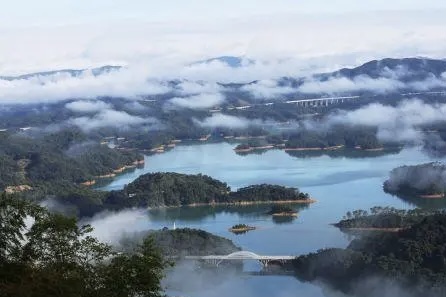 广州流溪河国家森林公园迎千人登山徒步 感受绿美生态成果