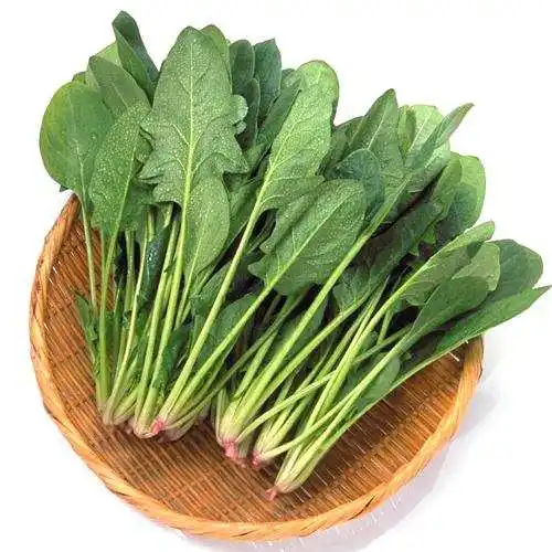 推荐这3种蔬菜，促进代谢，稳定血糖