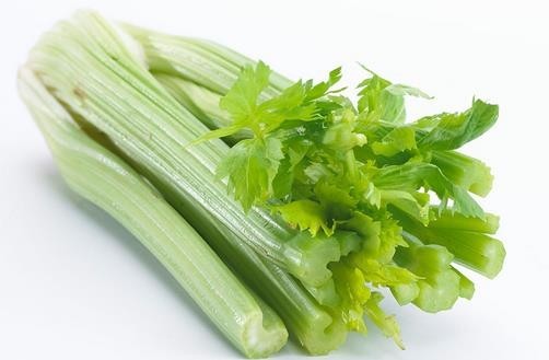 西芹和芹菜的区别