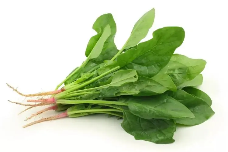 菠菜的“死敌”，二者不能同食，吃了就是没病找病，很多人天天吃