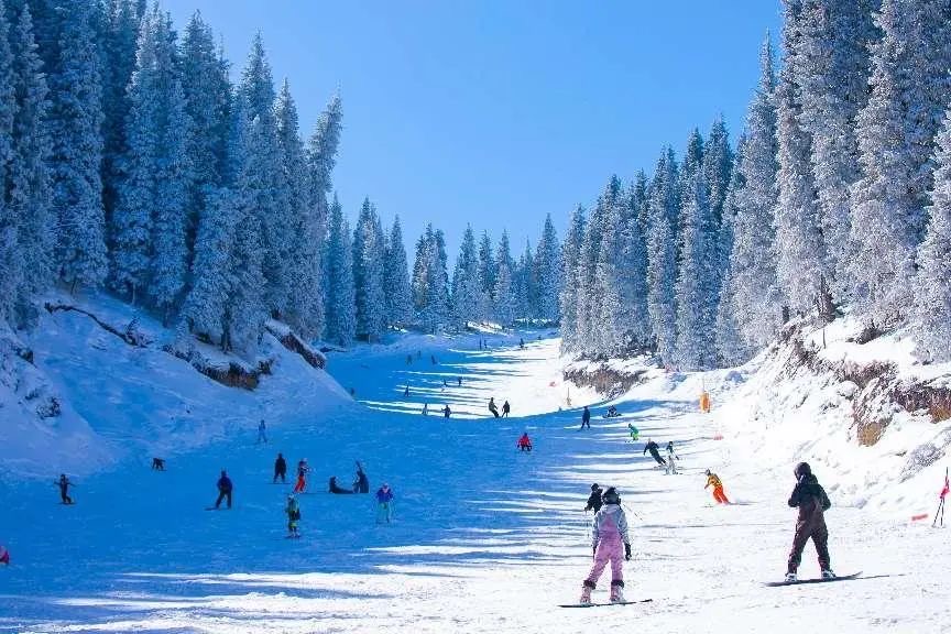 “这里很棒!”新疆向世界发出冰雪之约