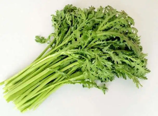 以下哪种蔬菜原产于中国？是“竹笋”还是“茼蒿”？