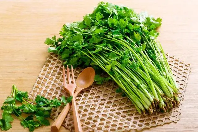 常吃香菜好处多，中医指出可解决6类问题，但这4类人要少吃