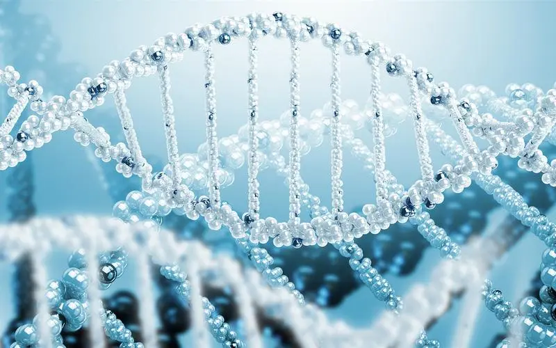 外媒科学网站1日摘要：人造日食将改变对日冕的认识