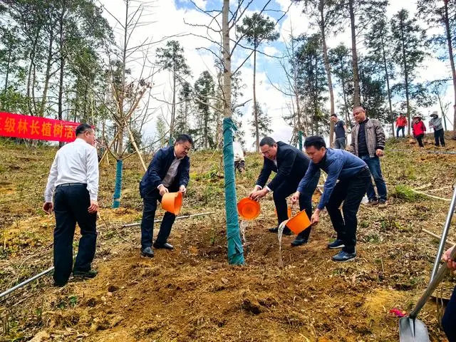 广州吹响春季造林绿化号角，2024年预计新增城乡造林绿化2.4万亩