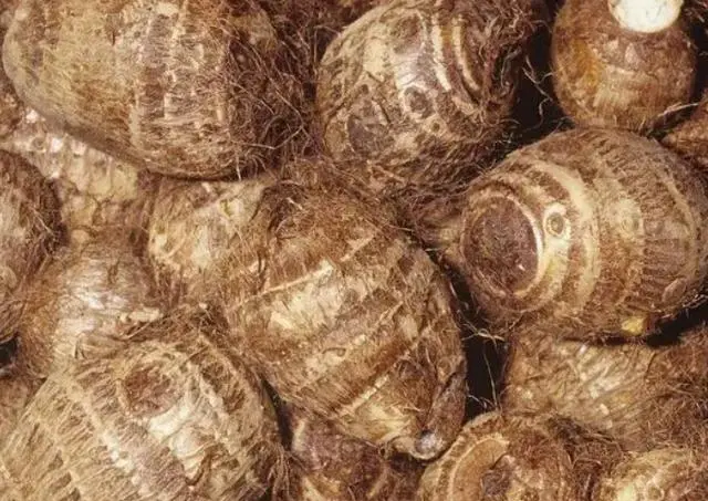 年后最该吃4种“天然养胃王”，胃一天比一天好