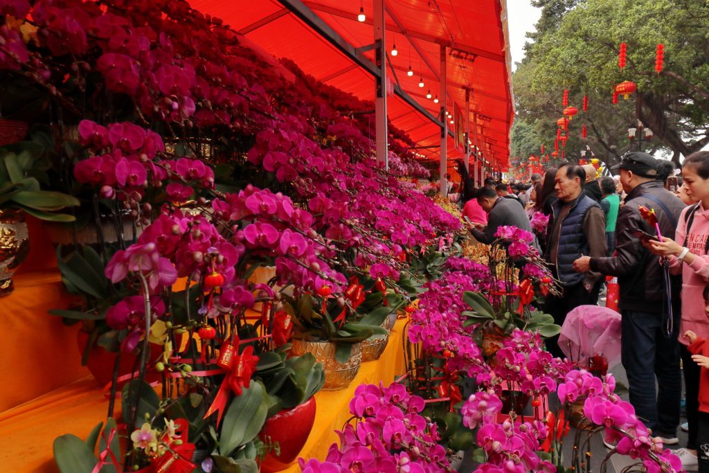 2024广州迎春花市评选结果出炉！是你心中“最美”吗？
