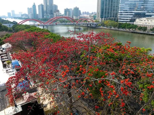 广州气温难见20℃+，新一股冷空气明天傍晚“到货”