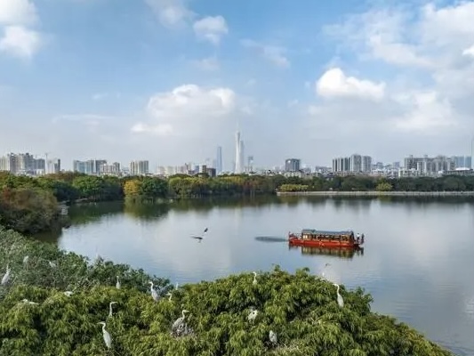 广州海珠湿地公园连续两年发现新物种