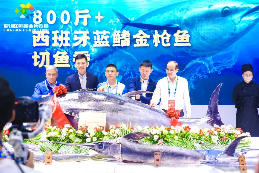 超800斤蓝鳍金枪鱼亮相渔博会！联成渔业成就一场视觉和味觉的双重盛宴