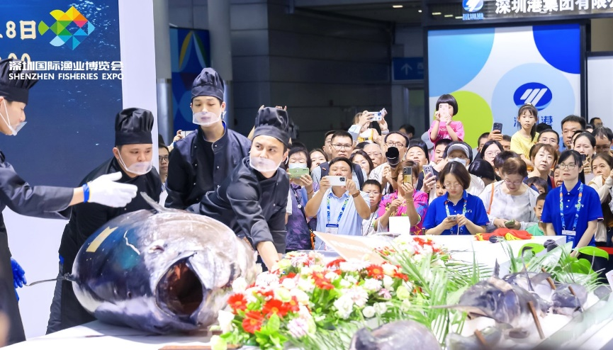 超800斤蓝鳍金枪鱼亮相渔博会!联成渔业成就一场视觉和味觉的双重盛宴