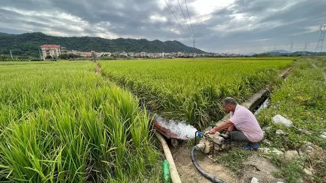 广州本月降水同比或略少，但预计还有3次集中降水期