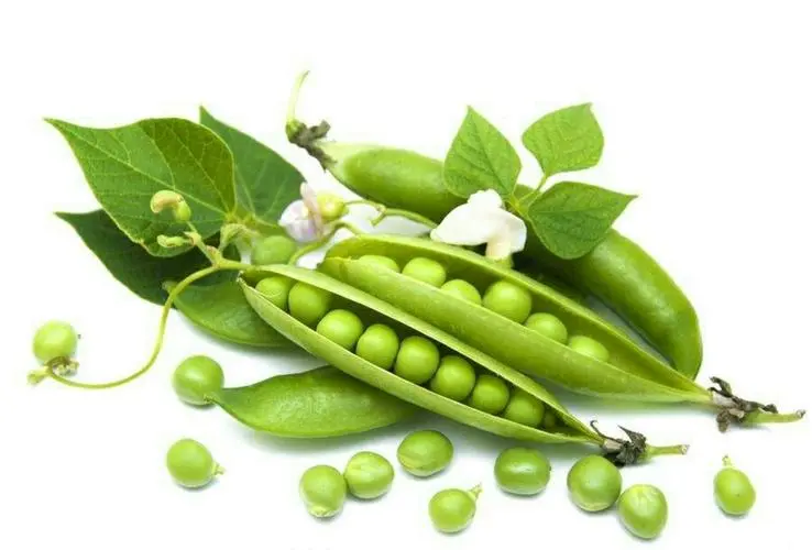 豌豆是血栓的“疏通剂”？医生：若想血管畅通无阻，常吃这4样
