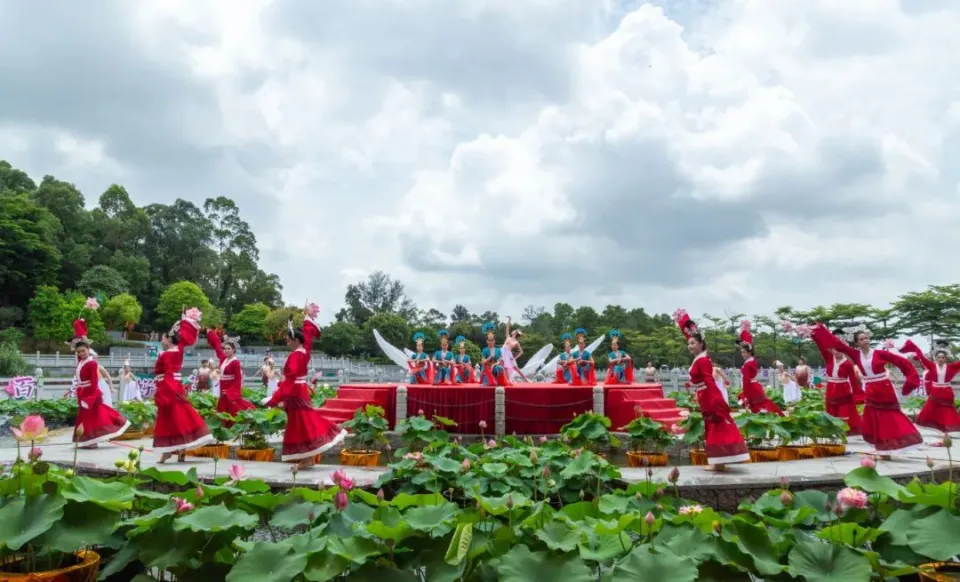 第36届广州番禺莲花文化旅游节开启
