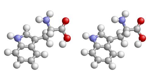 新研究：抑制促炎蛋白质可延长小鼠寿命