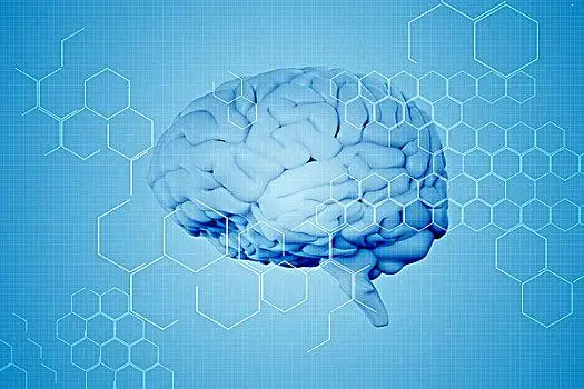 7月23日外媒科学网站摘要：大脑可同时处于睡眠和清醒状态