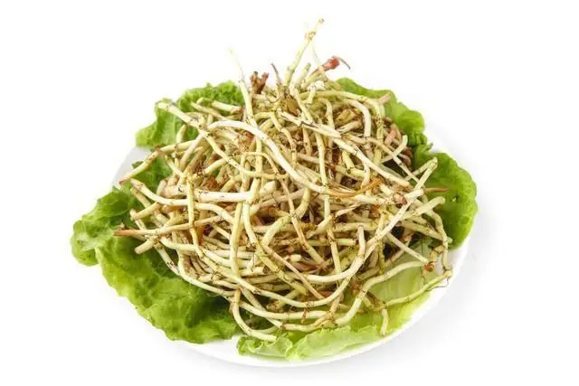 夏天吃“苦”胜似进补！三种苦味菜不要错过