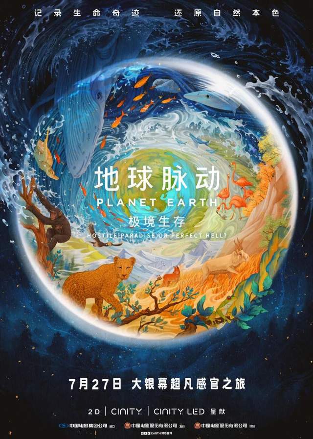 避开热门档，百万即胜利，院线纪录片的危与机