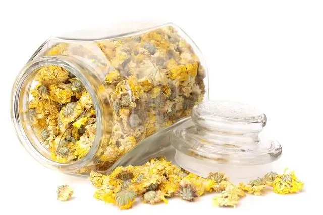 喝菊花茶，4大好处不请自来！但3个错误千万别犯，否则越喝越伤身