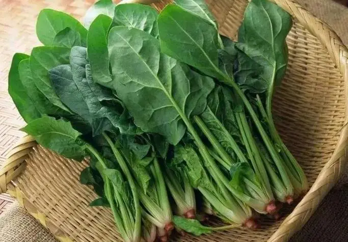 健康美食之“通便王”蔬菜，七品网引领有机生活新潮流
