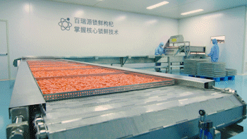 这样的枸杞,放心吃!