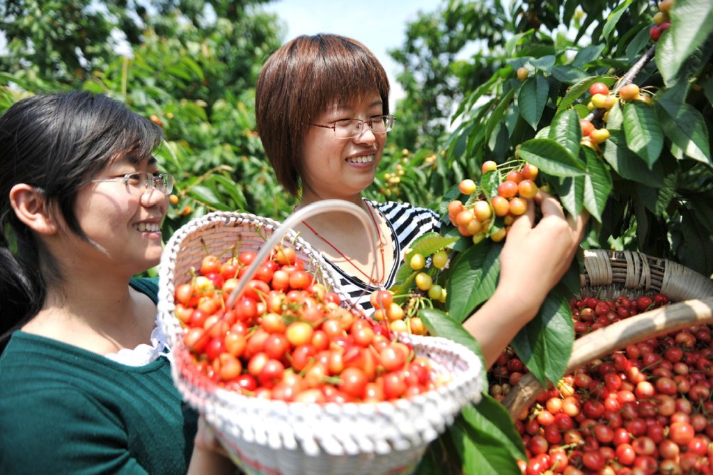 拥抱大湾区 赋能新沂蒙临沂（大湾区）招商推介会在深圳举行