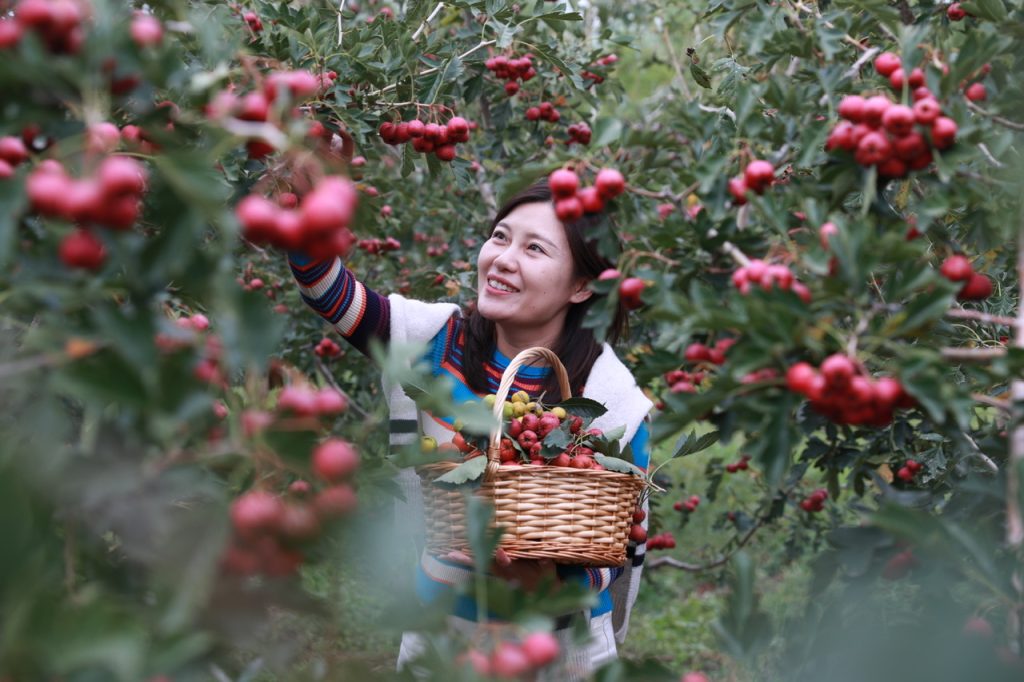 拥抱大湾区 赋能新沂蒙临沂（大湾区）招商推介会在深圳举行