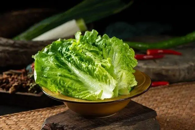 绿色餐桌·健康餐桌：我精选的八种无农药蔬菜，让美味与健康同行
