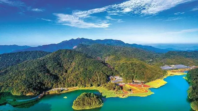广州发布2024年第2号总林长令