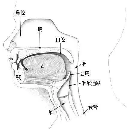 “打呼噜”会损害心脏和血管？止鼾小妙招快来学